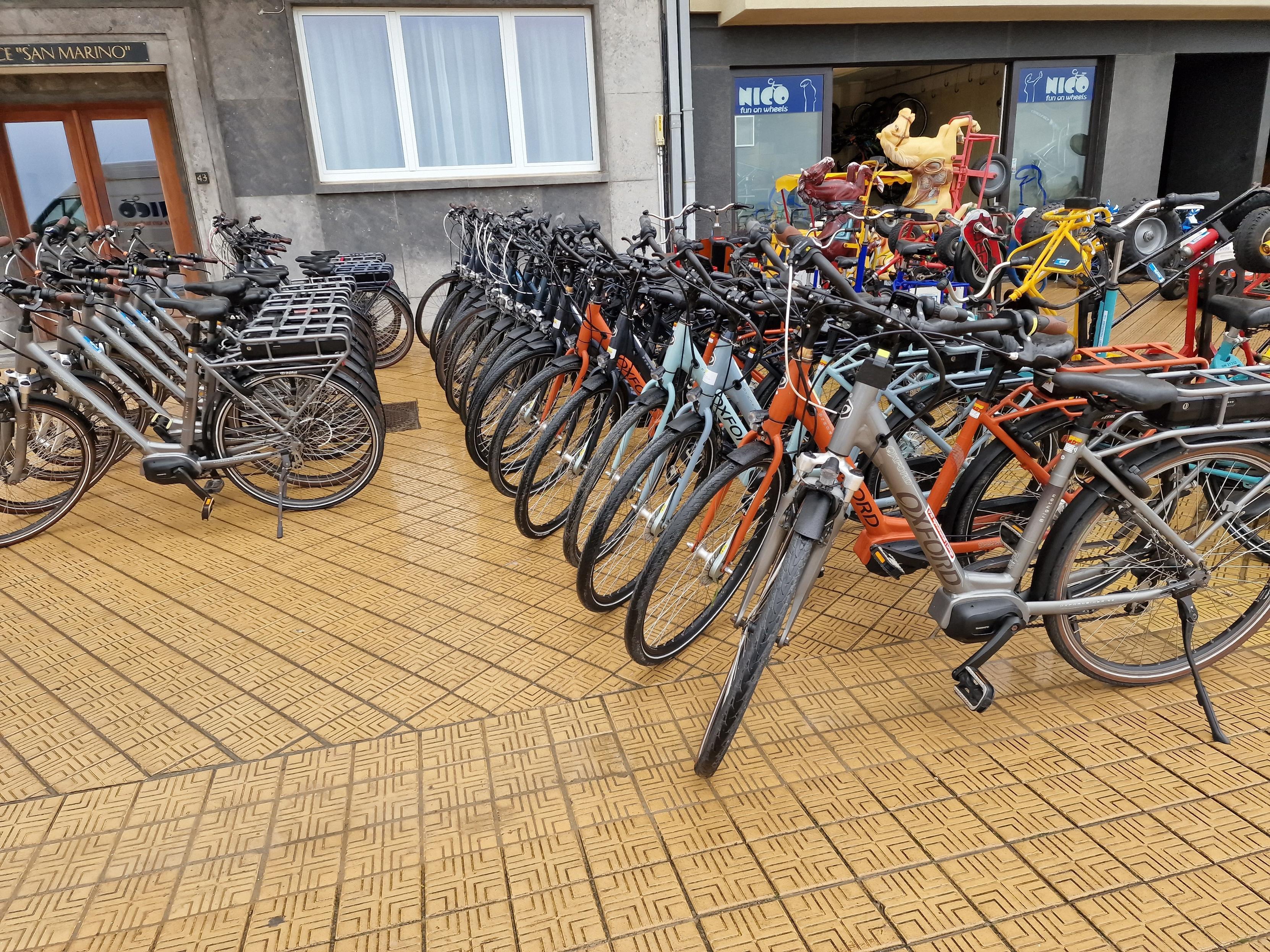 Elektrische fietsen grote groepen