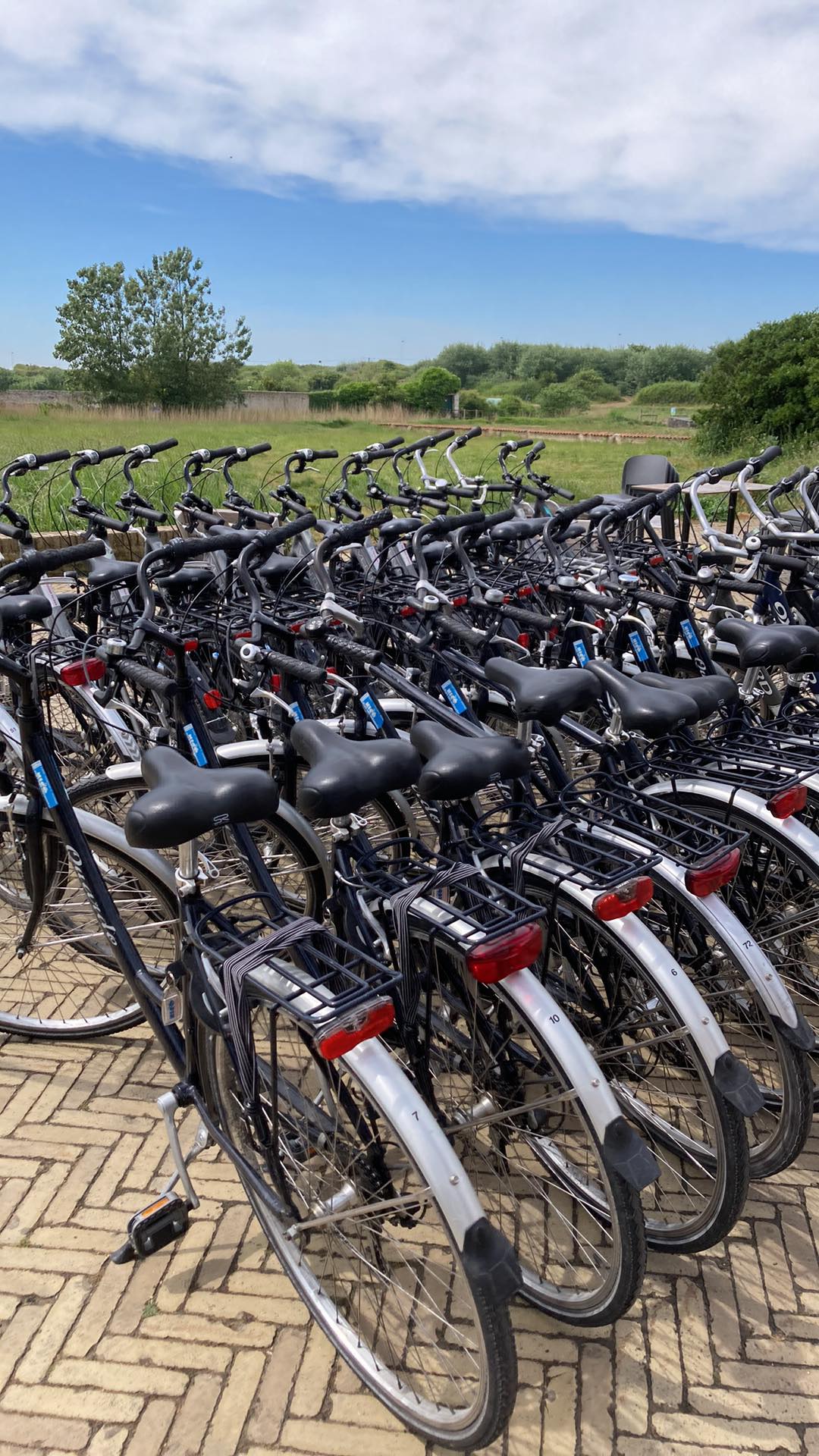 Grote groepen Fietsen